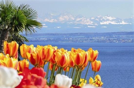 Spring, Natural landscape