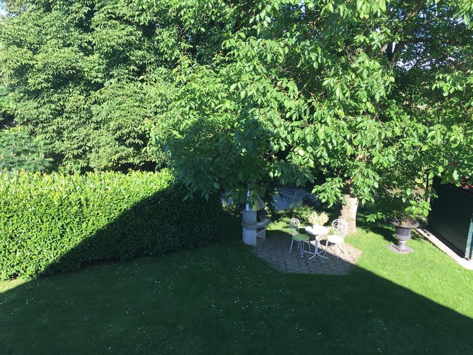 Day, Garden view