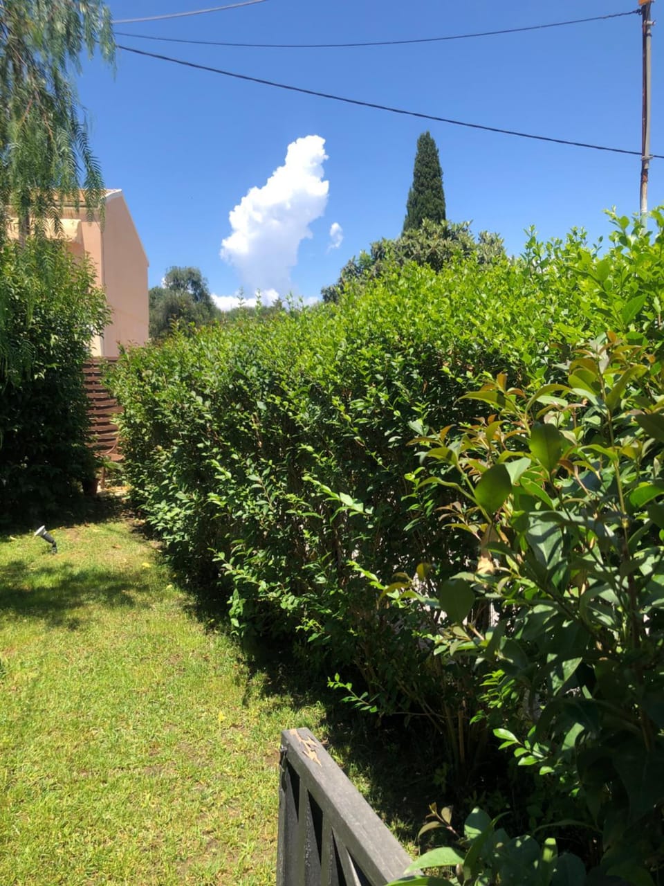 Property building, Garden