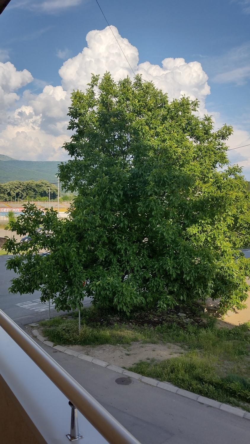 View (from property/room)