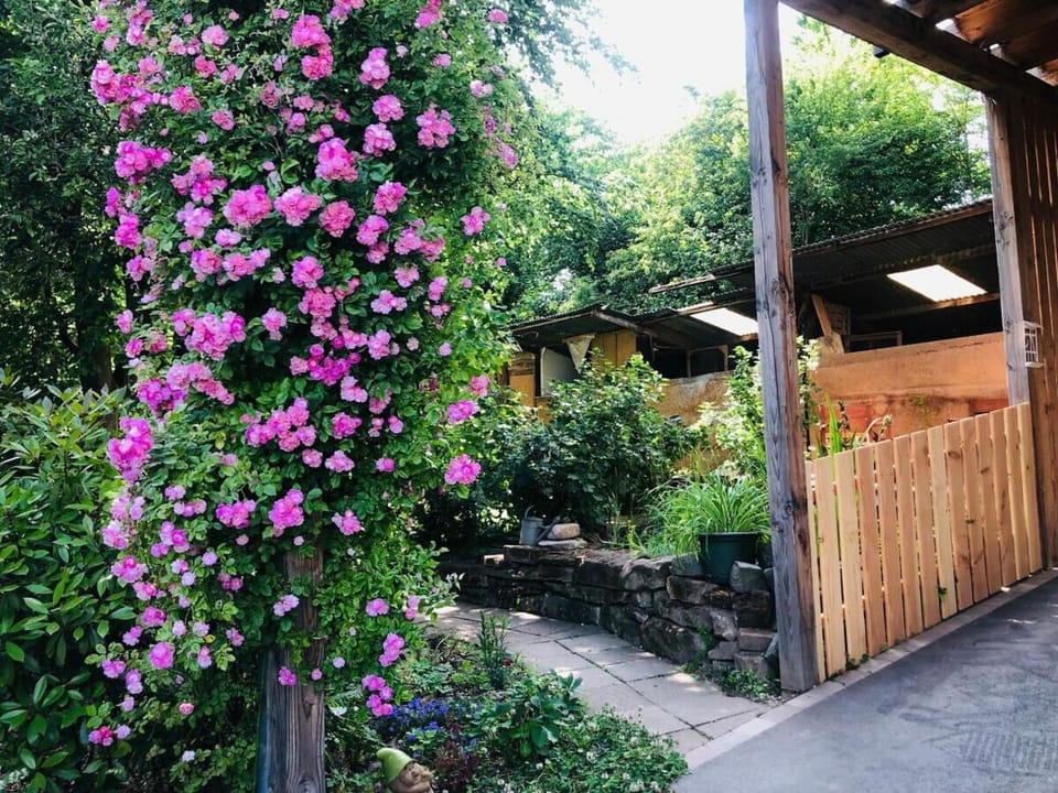 Spring, Day, Garden, Garden view