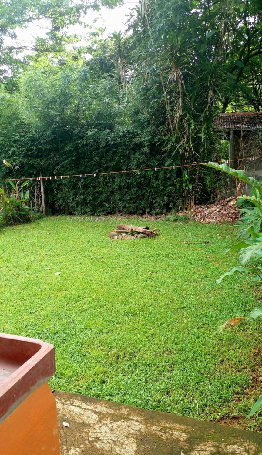 Casita El Sonido de las Aves House in Uvita