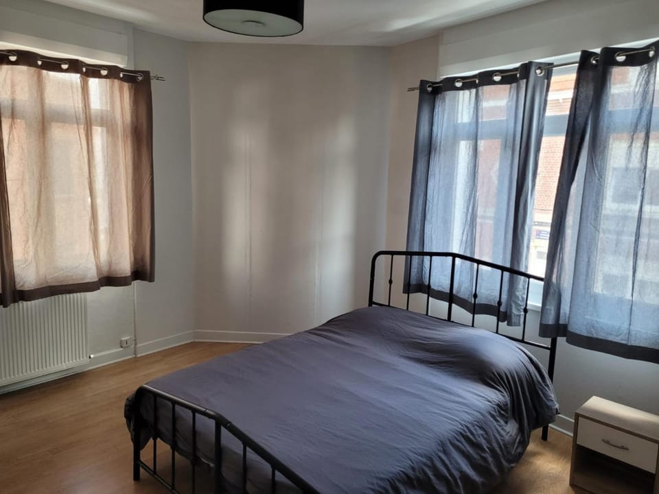 Lille près du CHU Lille Vacation rental in Lille