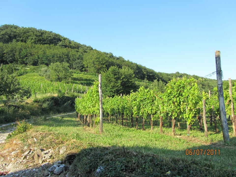 Arkade turizem Farm Stay in Friuli-Venezia Giulia