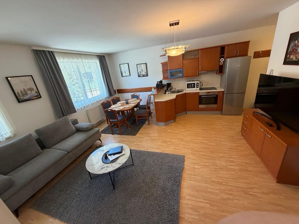 Planai Ski Slope Appartements Apartment in Schladming