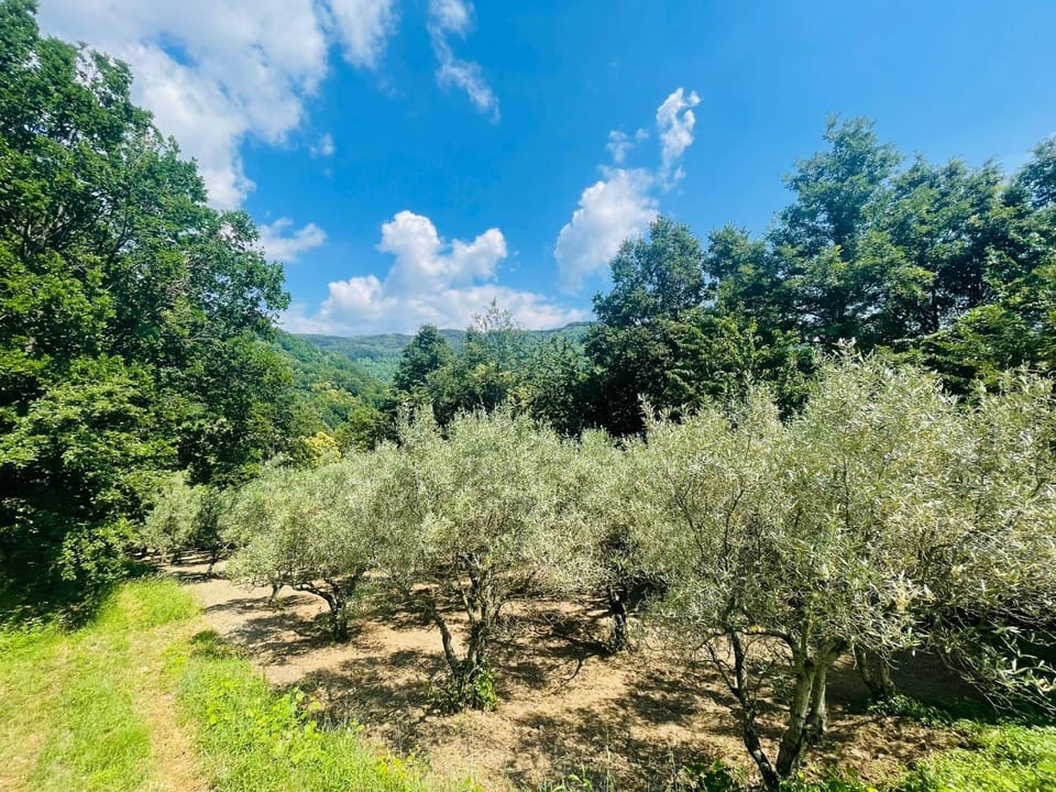 Natural landscape