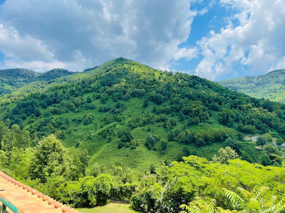 Mountain view