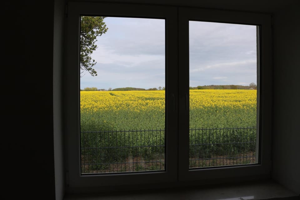 Kleines Haus am Feld House in Mecklenburg-Vorpommern, Germany