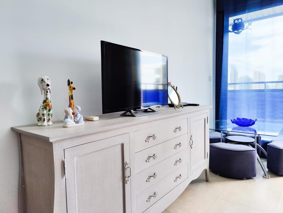 TV and multimedia