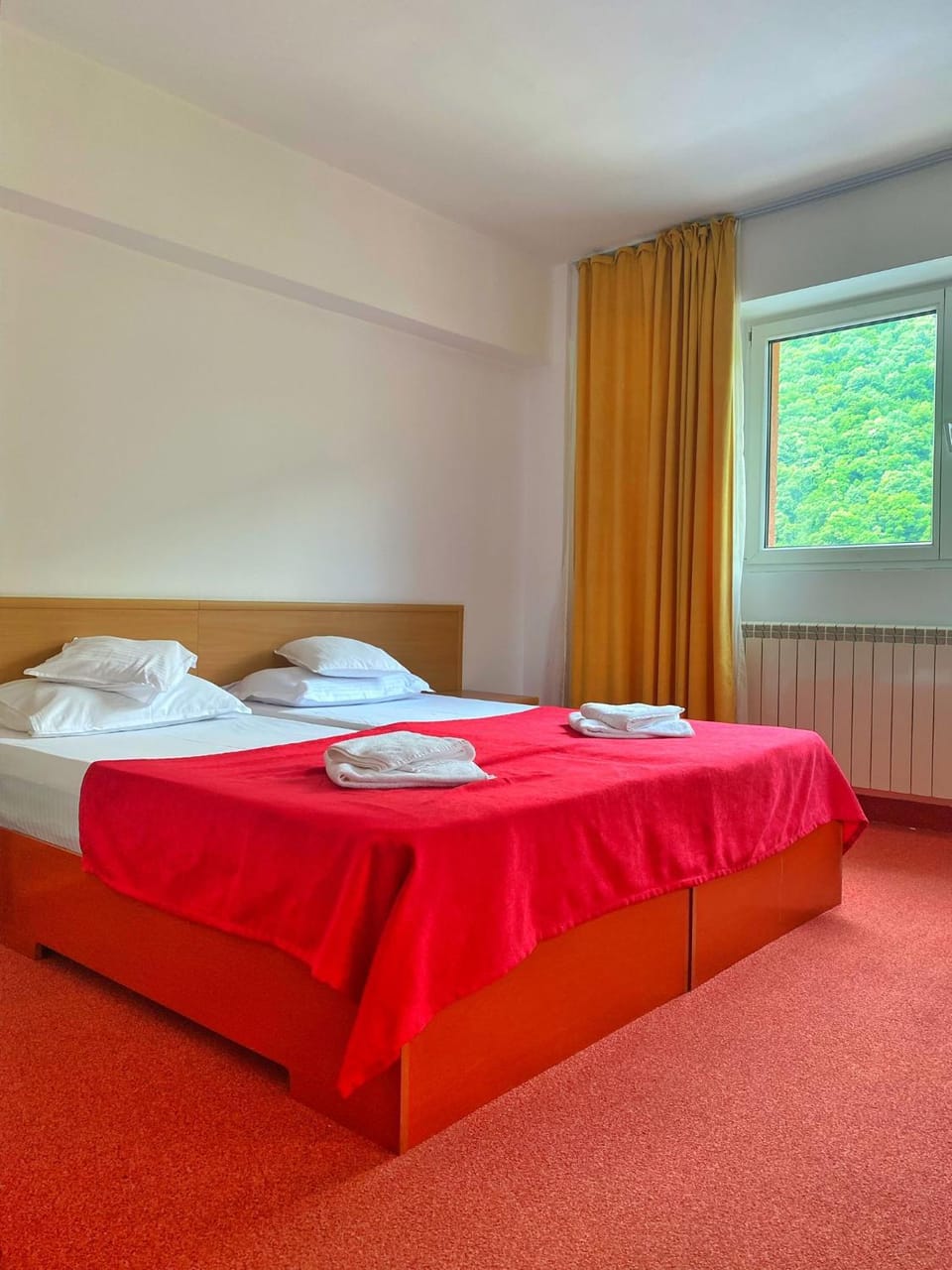 Hotel International Hotel in Serbia