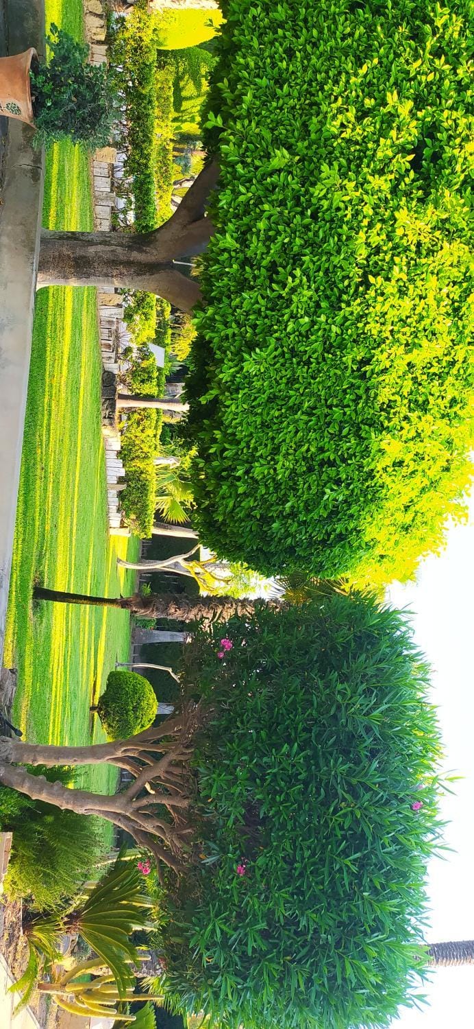 Spring, Natural landscape, Garden