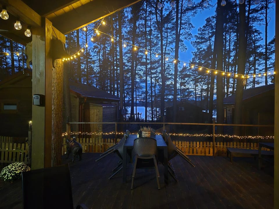 Patio, Night, Natural landscape