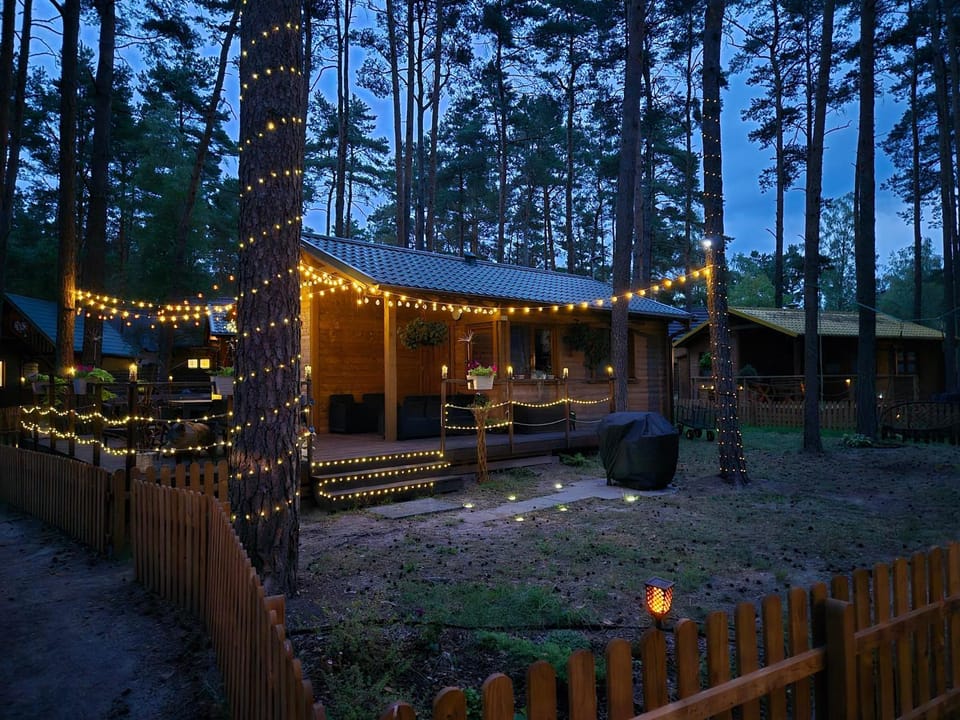 Night, Natural landscape, Garden, Garden view