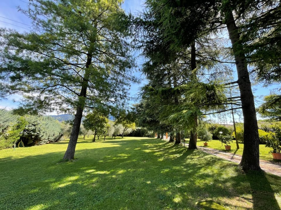 Natural landscape, Garden, Garden view
