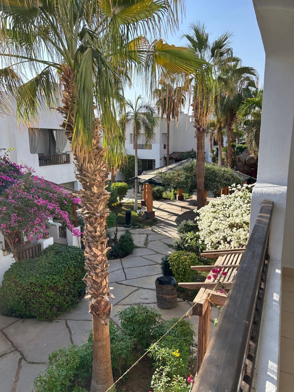 Property building, Garden view