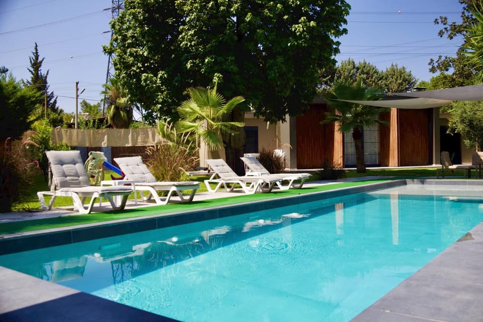 Patio, Spring, Day, Garden, Garden view, Pool view, Swimming pool, sunbed
