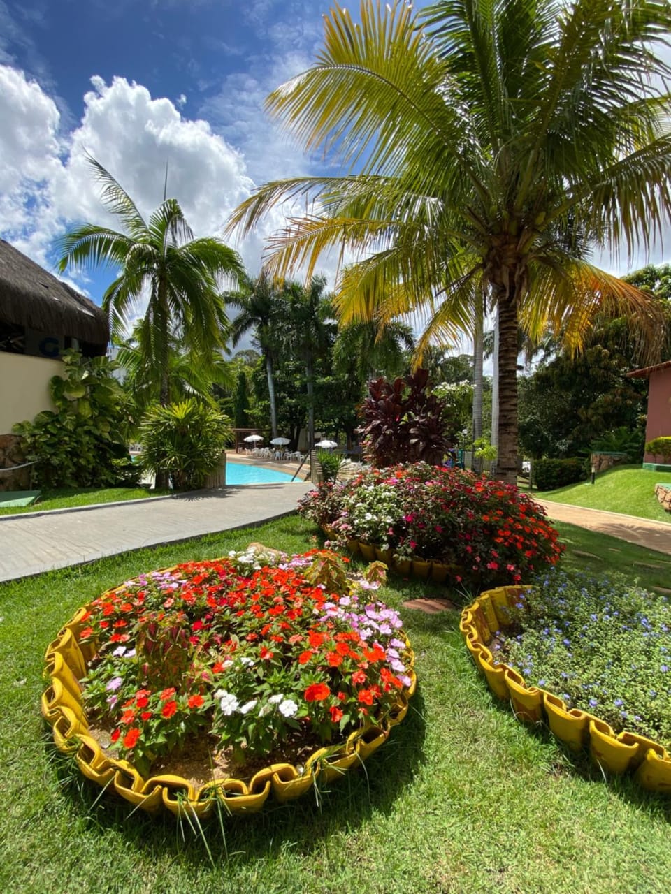 Garden, Pool view