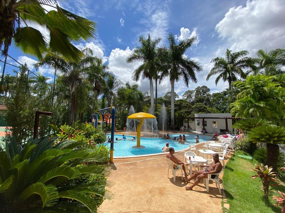 Garden, Pool view, Swimming pool