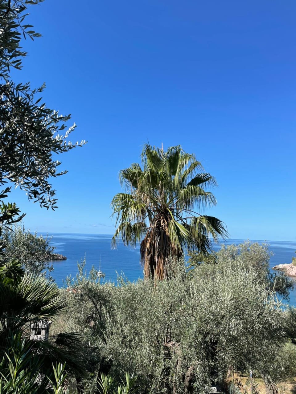 SEA VIEW APARTMENT Apartment in Sveti Stefan