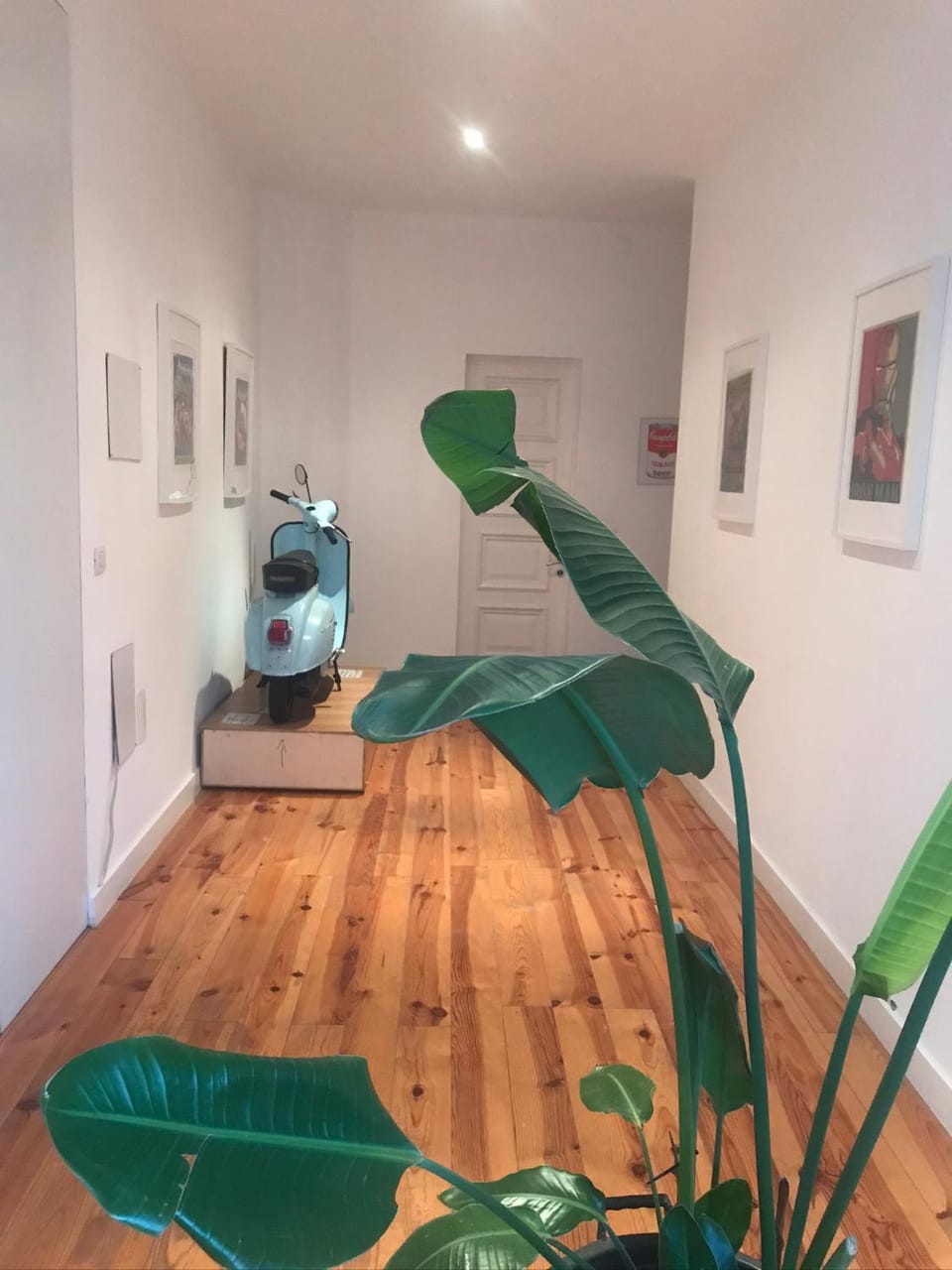 City center boutique apartment Apartment in Funchal