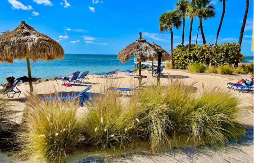 Amazing Waterfront Views Resort, Enjoy Heated Pool & Sunset! Apartment hotel in Tampa