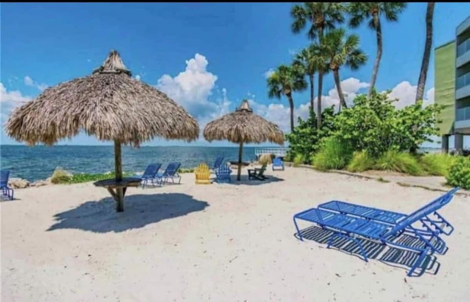 Amazing Waterfront Views Resort, Enjoy Heated Pool & Sunset! Apartment hotel in Tampa