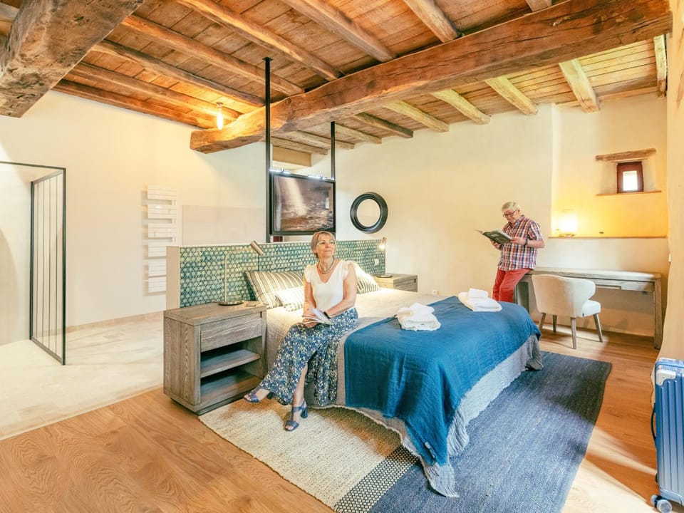 Château historique avec jardin, spa et salle de sport, idéal pour séminaires ou séjours détente - FR-1-426-516 House in Pays de la Loire