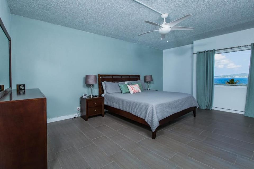Dramatic views from this spacious 1bd 1bth Apartment in St. Croix