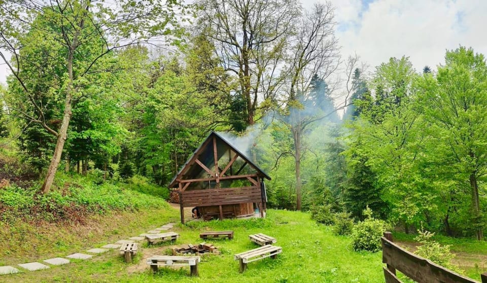 Spring, Day, Natural landscape, Garden, Garden view