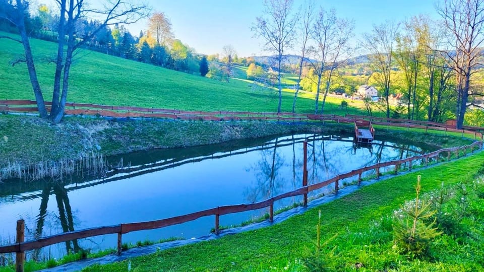 Nearby landmark, Spring, Day, Natural landscape, Garden view