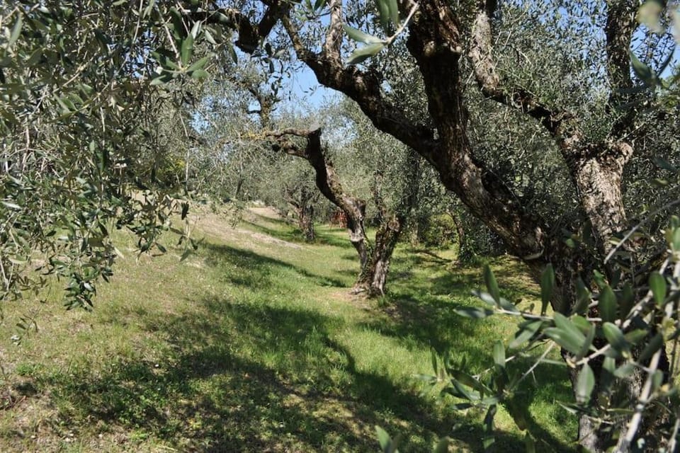 LA CASA TRA GLI OLIVI House in Province of Brescia
