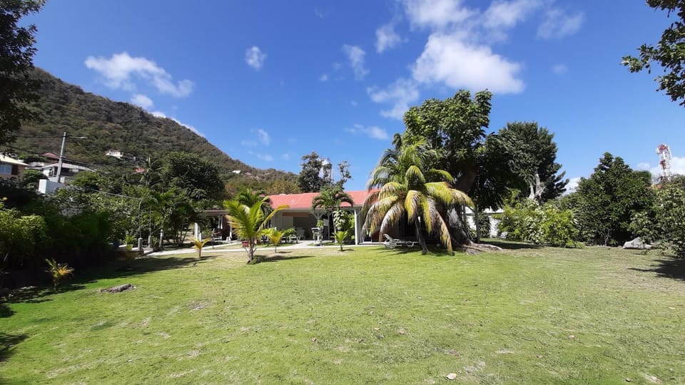 Property building, Day, Natural landscape, Garden, Garden view