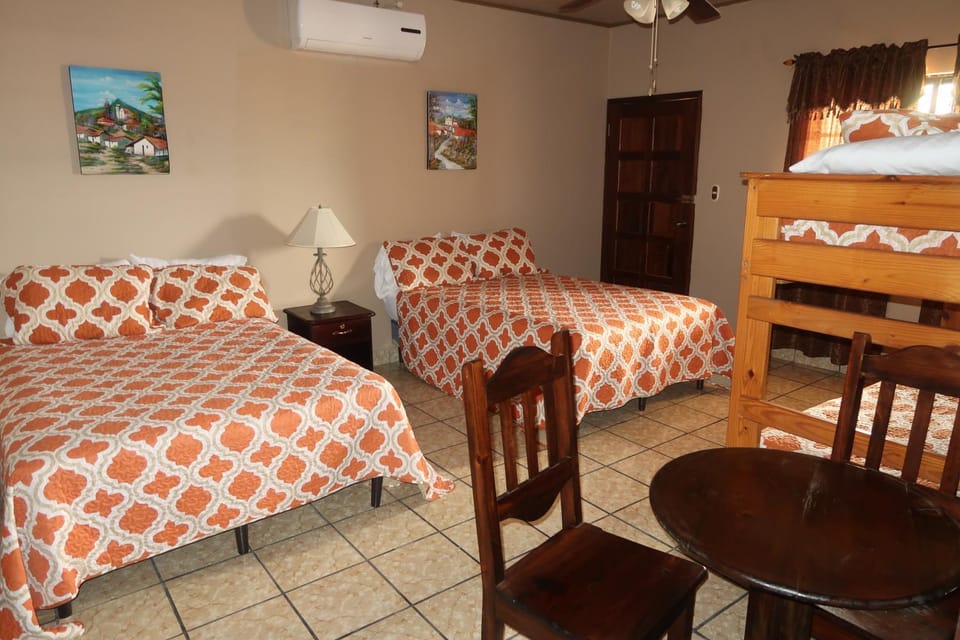 Bed, Photo of the whole room, bunk bed