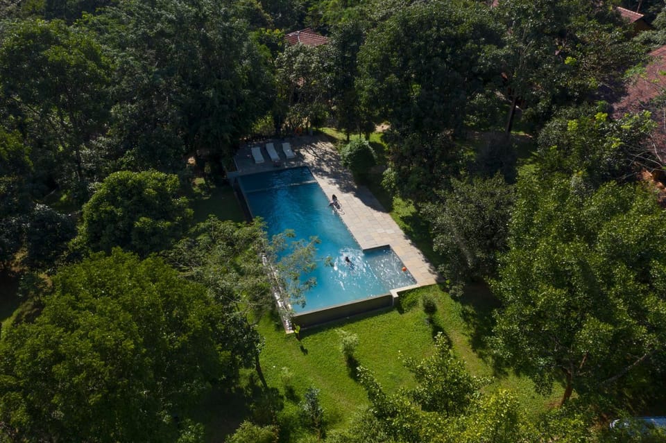 Day, Natural landscape, Bird's eye view, Garden, Pool view, Swimming pool, Swimming pool