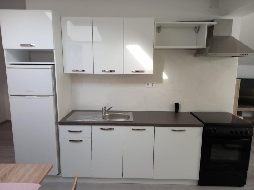 Kitchen or kitchenette, minibar, stove