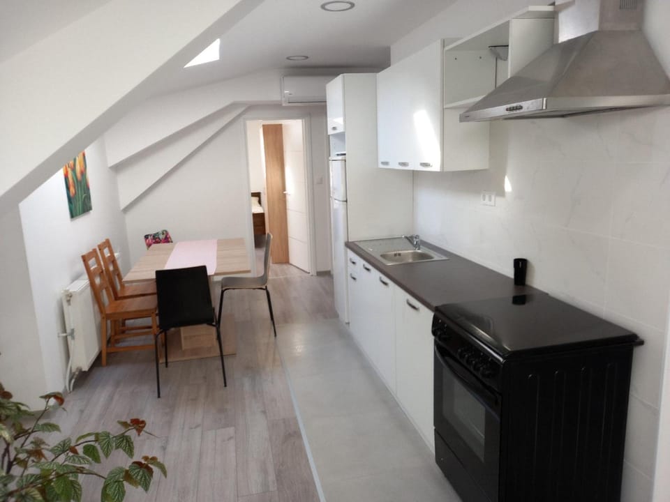 Kitchen or kitchenette, kitchen