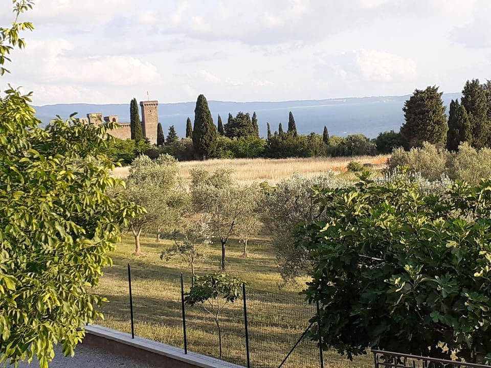 City view, Lake view