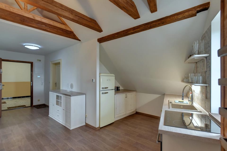 Kitchen or kitchenette, oven, stove, toaster