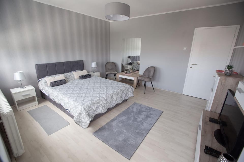 APARTMAN DANICA Apartment in Vojvodina