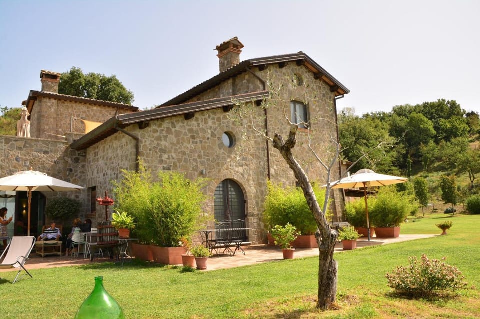 Property building, Garden, Garden view