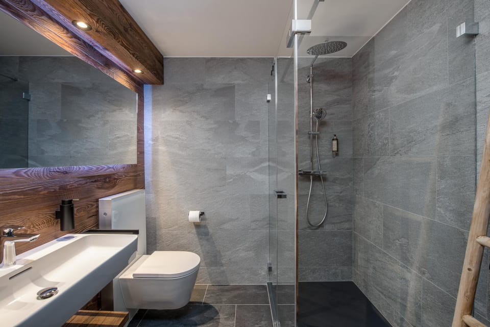 Shower, Kitchen or kitchenette, Living room