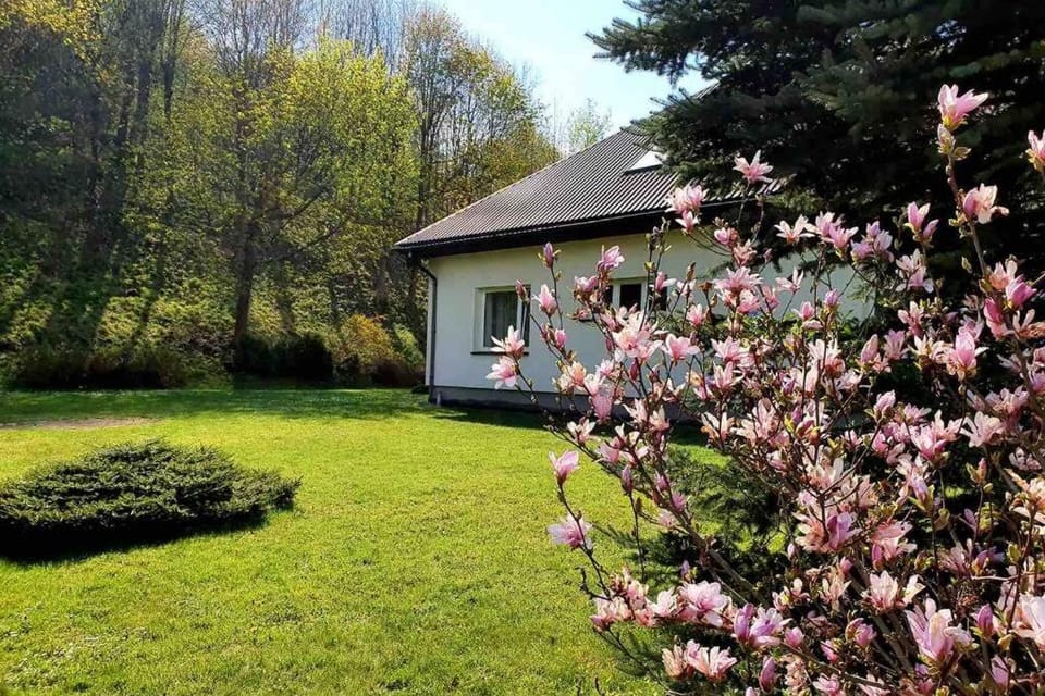 Bieszczadzki Zakątek Apartment in Poland