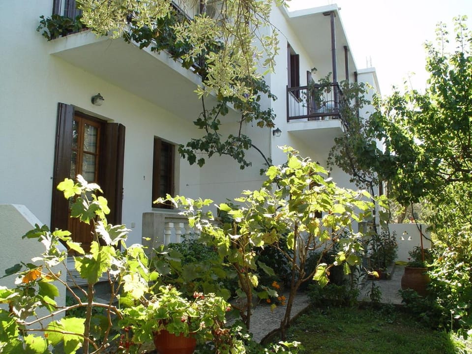 Facade/entrance, Garden