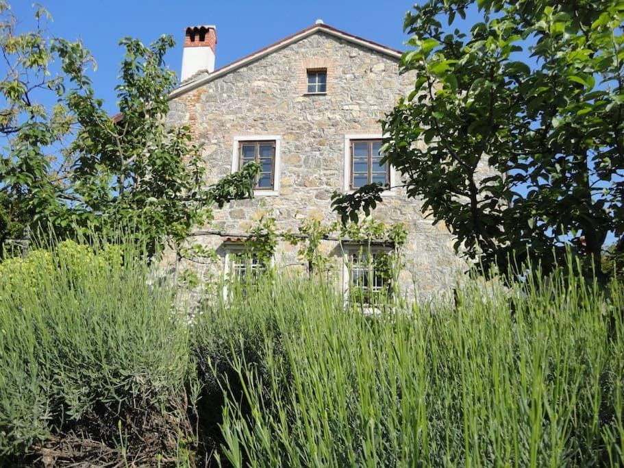 Property building, Garden