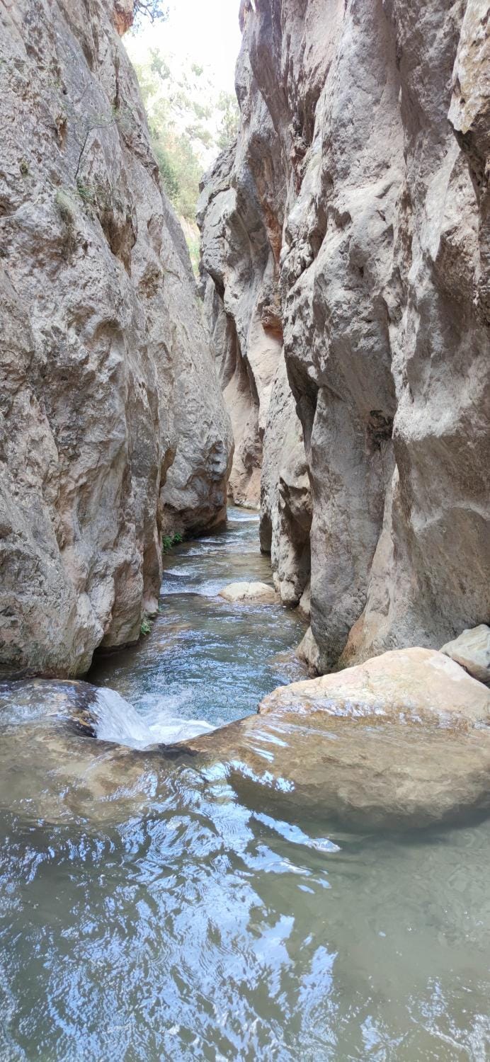 Natural landscape