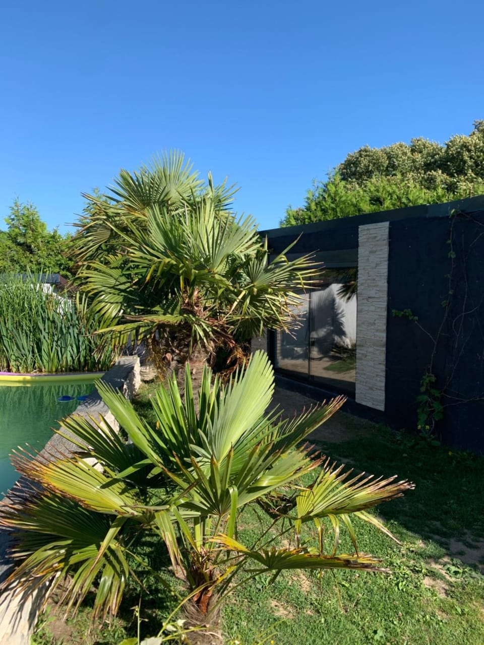 Garden, Garden view