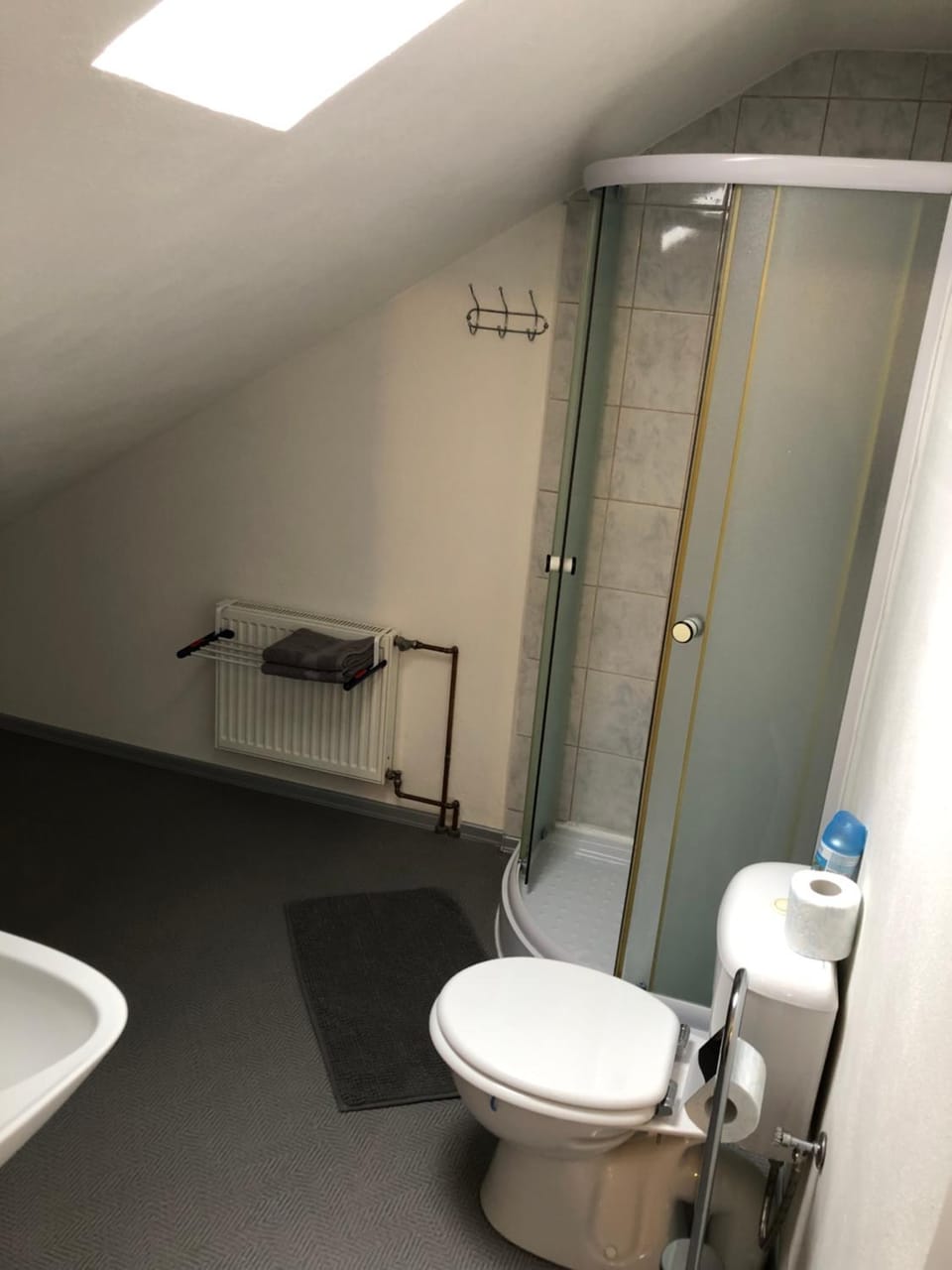 Shower, Toilet, Bathroom