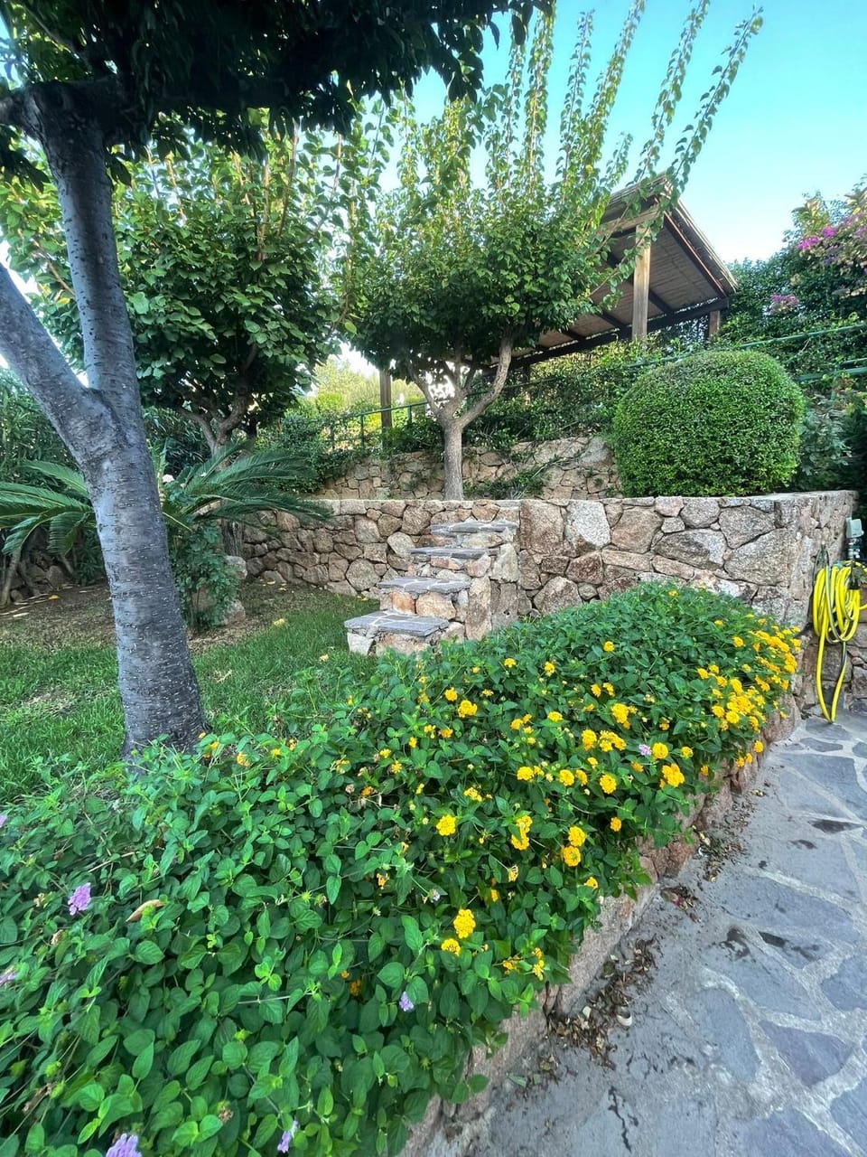 Casa Souad, a cheerful and charming beach view 2 bedroom house and free parking House in Sardinia