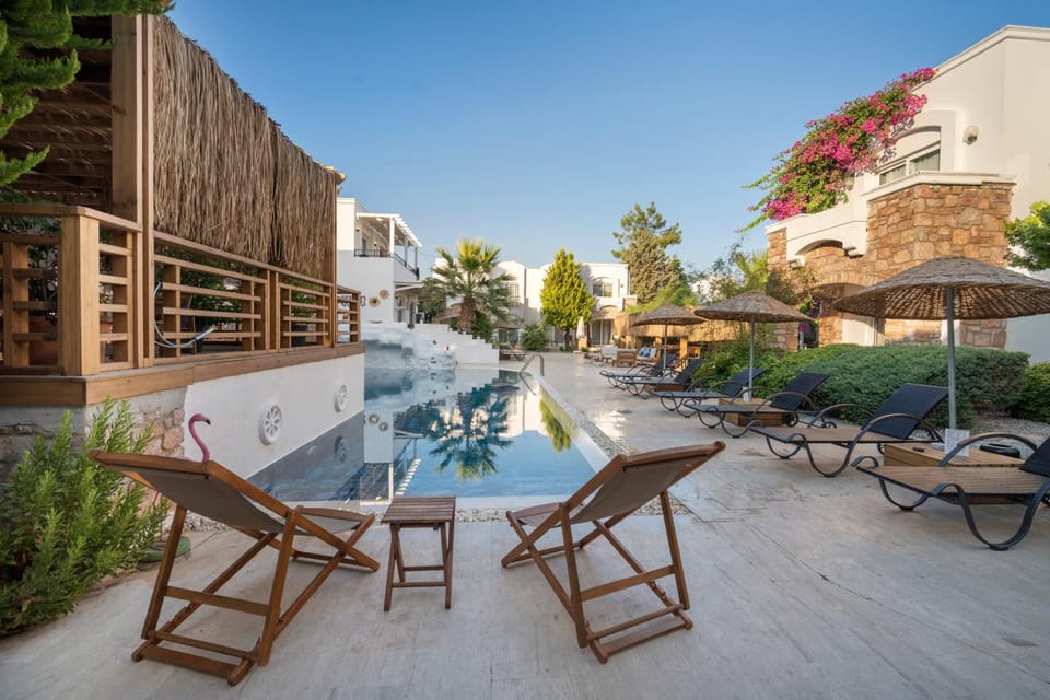 Property building, Patio, Day, Garden, View (from property/room), On site, Garden view, Pool view, Swimming pool, sunbed