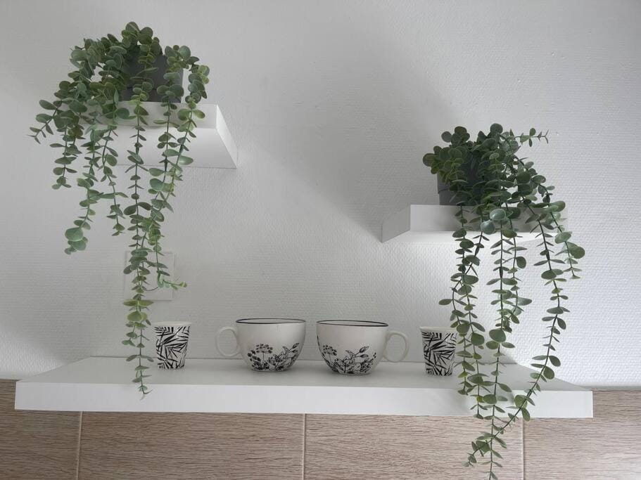 Esprit PALMA Apartment in Mulhouse